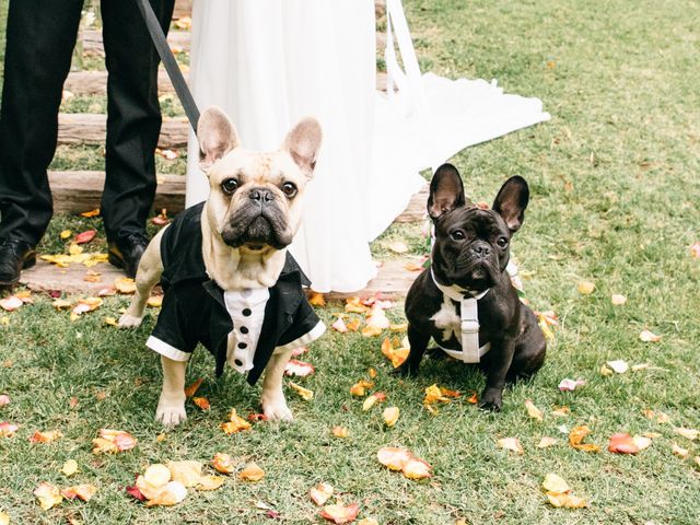 El matrimonio de Javier y Javiera en San Bernardo, Maipo 23