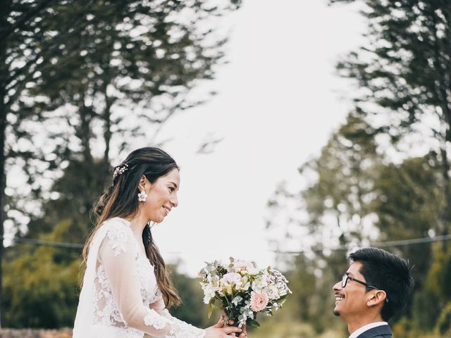 El matrimonio de Nicolás y Pamela en Los Muermos, Llanquihue 29