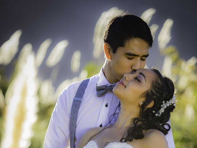 El matrimonio de Miguel y Kity en Cunco, Cautín 6