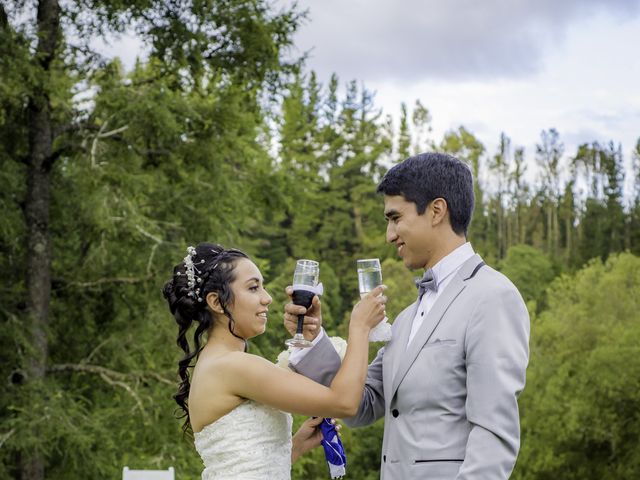 El matrimonio de Miguel y Kity en Cunco, Cautín 82