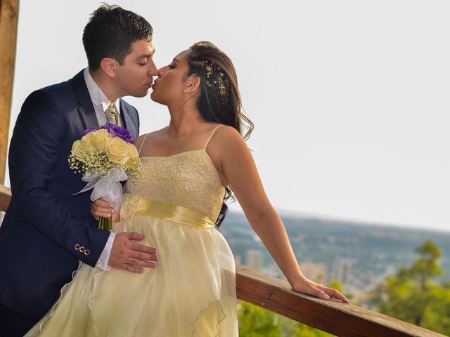 El matrimonio de Maikel y Gabriela en Temuco, Cautín 25