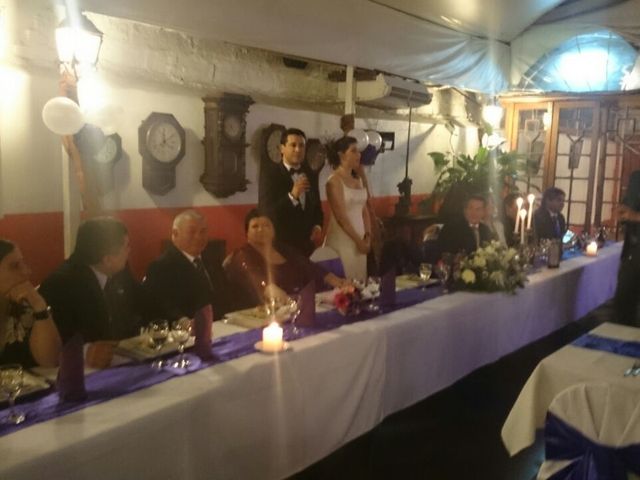 El matrimonio de Cristian y Beatriz en Santiago, Santiago 15