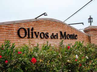 El matrimonio de Javiera y Alfonso 1