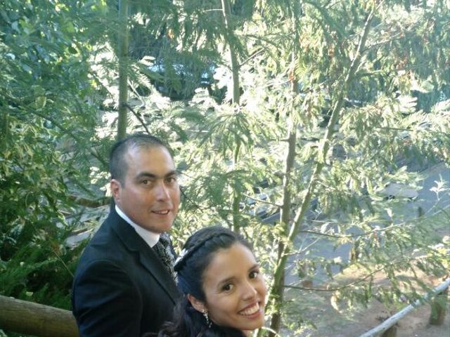 El matrimonio de Williams y Paola en Temuco, Cautín 31