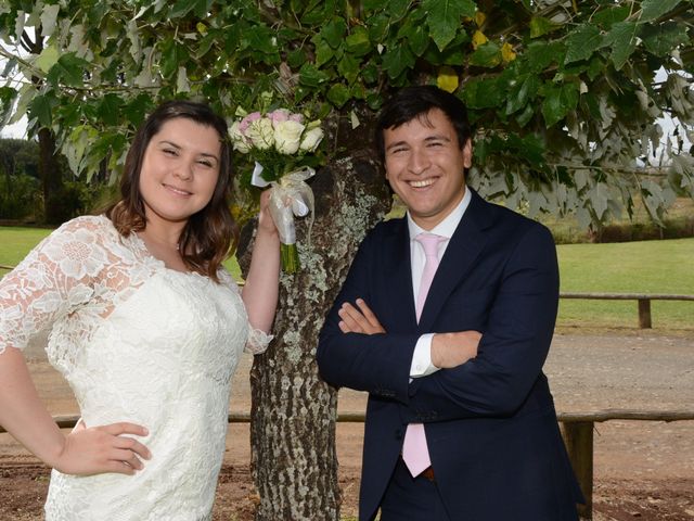 El matrimonio de Alexis y Daniela en Temuco, Cautín 8