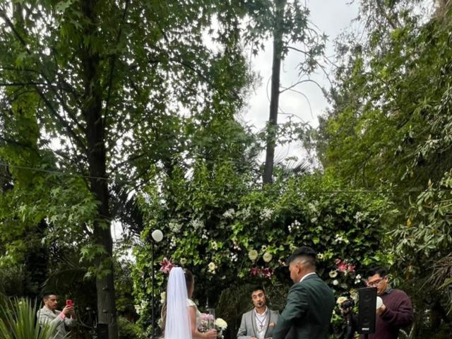 El matrimonio de Carlos y Paula en Pirque, Cordillera 9