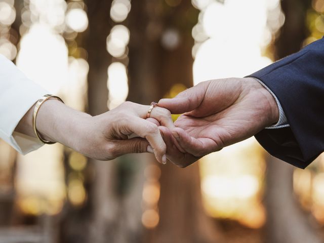 El matrimonio de Raúl y Andrea en Calera de Tango, Maipo 37