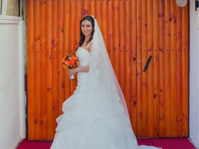 El matrimonio de cristina y francisco en Concepción, Concepción 7