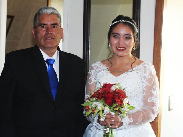 El matrimonio de Michael y Brenda en Los Ángeles, Bío-Bío 5