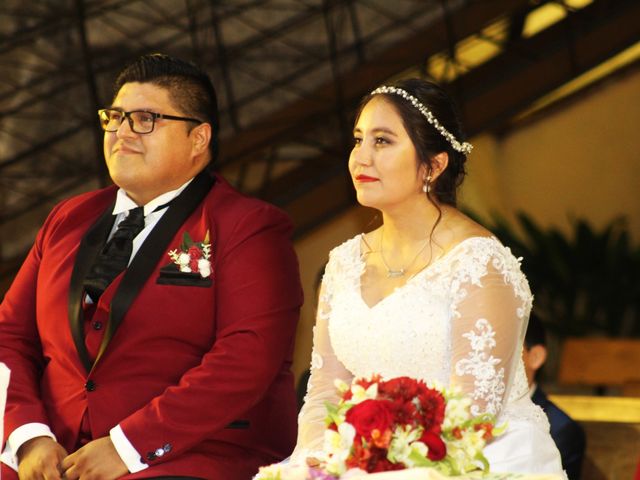 El matrimonio de Michael y Brenda en Los Ángeles, Bío-Bío 15