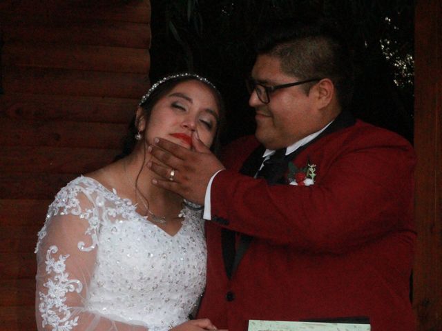 El matrimonio de Michael y Brenda en Los Ángeles, Bío-Bío 43