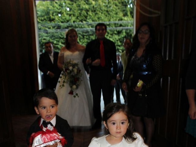 El matrimonio de Ricardo y Marcela en La Unión, Ranco 9