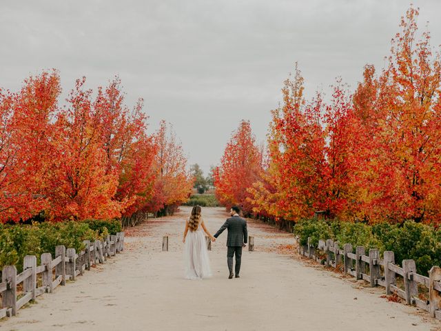 El matrimonio de Matías y Rocio en Santa Cruz, Colchagua 121