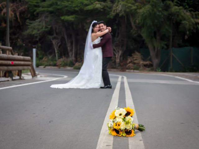 El matrimonio de Miguel y Marion en Pirque, Cordillera 13