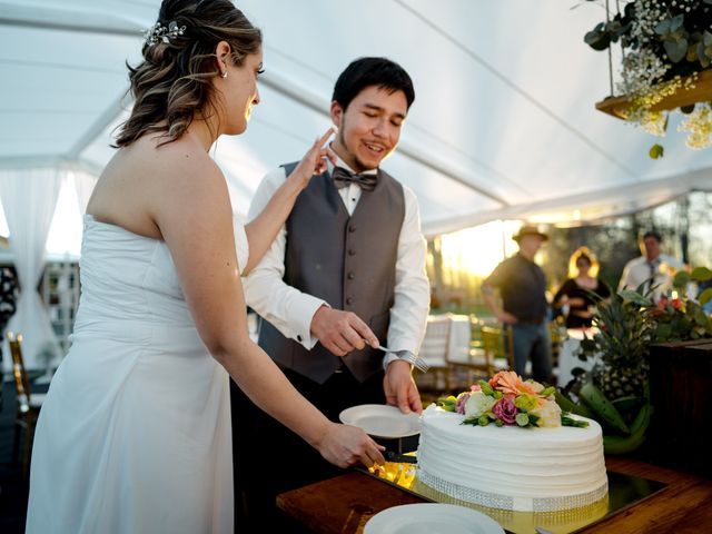 El matrimonio de Pablo y Cecilia en San Fabián, Ñuble 17