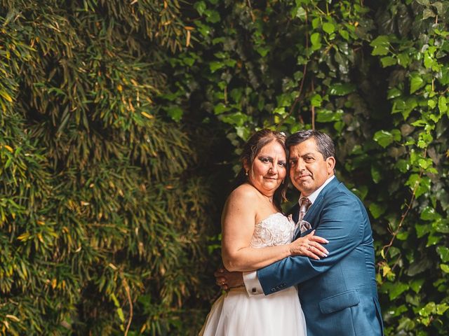 El matrimonio de Esteban y Marcela en Rancagua, Cachapoal 164