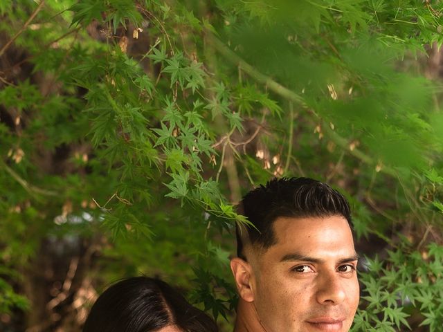 El matrimonio de David y Francisca en Rancagua, Cachapoal 42