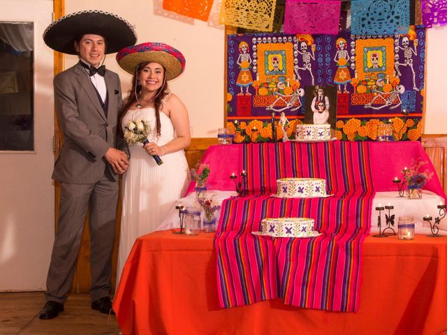 El matrimonio de Felipe y Cecilia en Valdivia, Valdivia 45