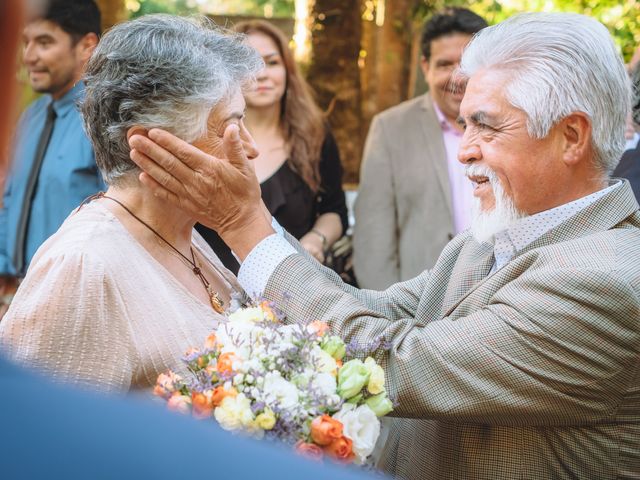 El matrimonio de Víctor y Gilka en Pucón, Cautín 13