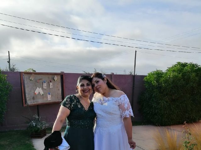 El matrimonio de Mario  y Priscilla  en La Serena, Elqui 9