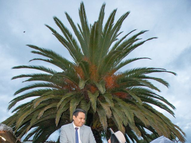 El matrimonio de Monica y Pedro en Pucón, Cautín 15