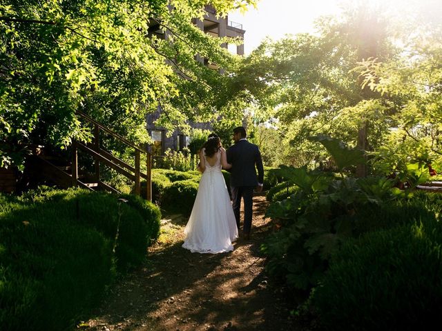 El matrimonio de José y Maca en Villarrica, Cautín 43