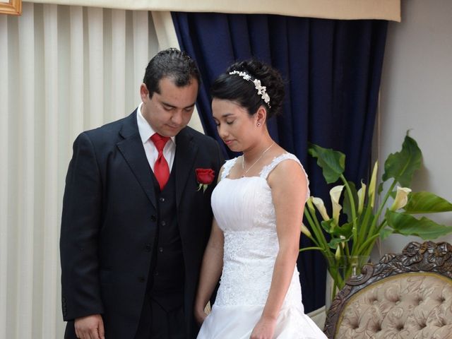 El matrimonio de Fernando y Gianinna en Puente Alto, Cordillera 11