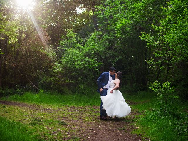 El matrimonio de Luis y Tifani en Chillán, Ñuble 26