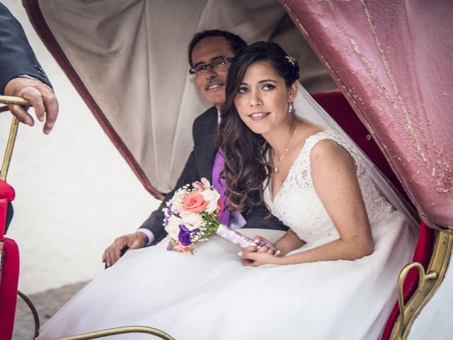 El matrimonio de Javier y Macarena en Pirque, Cordillera 20