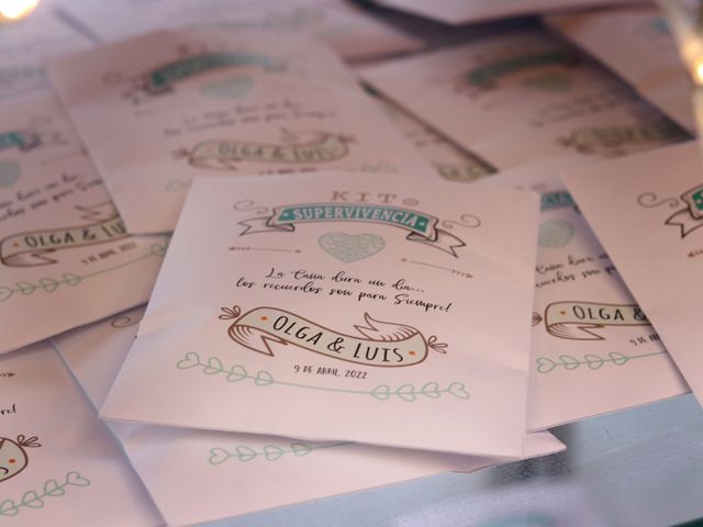 El matrimonio de Luis y Olga en Santiago, Santiago 29