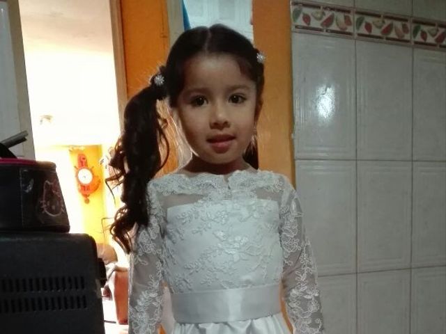 El matrimonio de José Luis y Ximena  en Rancagua, Cachapoal 8