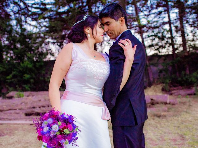El matrimonio de Sergio y Viviana en La Serena, Elqui 3