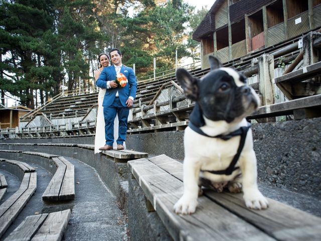 El matrimonio de Felipe y Patricia en Temuco, Cautín 33