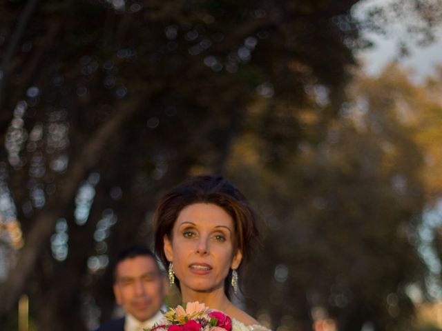 El matrimonio de Cristian y Lisa en La Serena, Elqui 5