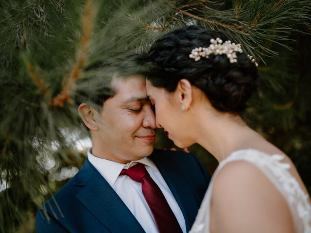 El matrimonio de David y Fernanda en Buin, Maipo 22