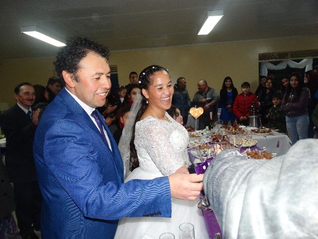 El matrimonio de Patricio  y Cecilia  en Mariquina, Valdivia 14