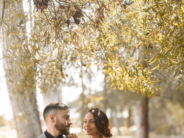 El matrimonio de David y Mariana en Pirque, Cordillera 20