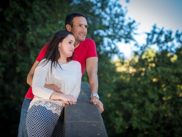 El matrimonio de Camilo y Fernanda en Olmué, Quillota 9