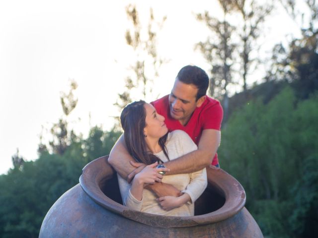 El matrimonio de Camilo y Fernanda en Olmué, Quillota 10