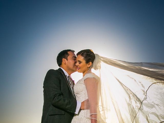 El matrimonio de Hazael  y Sol en Freire, Cautín 14