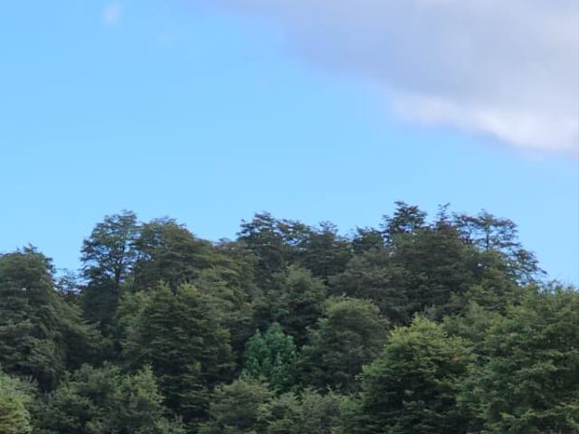 El matrimonio de Francisca  y Tomás  en Puerto Varas, Llanquihue 12