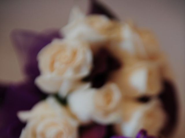 El matrimonio de Nicolás y Karli en Santiago, Santiago 5