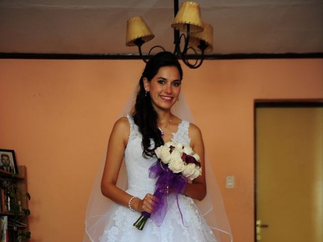 El matrimonio de Nicolás y Karli en Santiago, Santiago 20