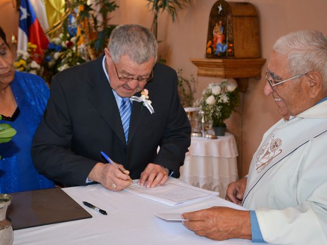 El matrimonio de Carlos y Camila en Punta Arenas, Magallanes 99