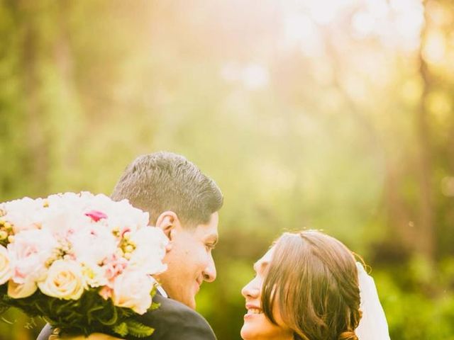 El matrimonio de Sergio y Lillian en San Esteban, Los Andes 9