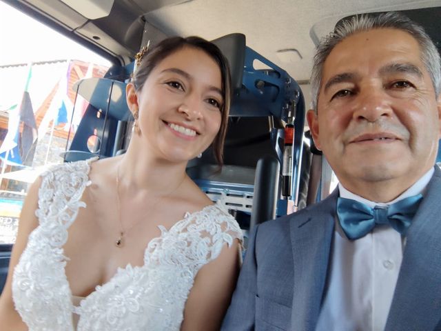 El matrimonio de Diego y Carla en Antuco, Bío-Bío 1