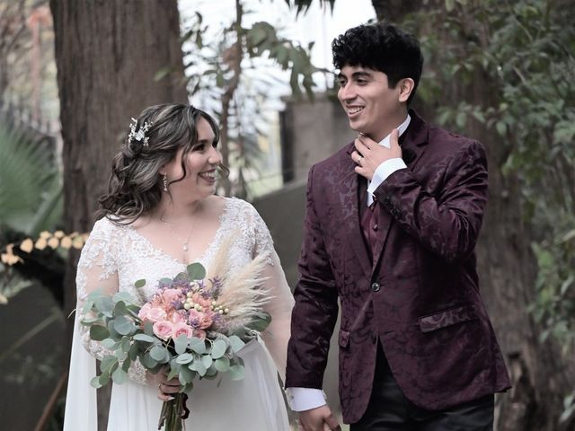 El matrimonio de Nicolás y Belén en Pirque, Cordillera 28