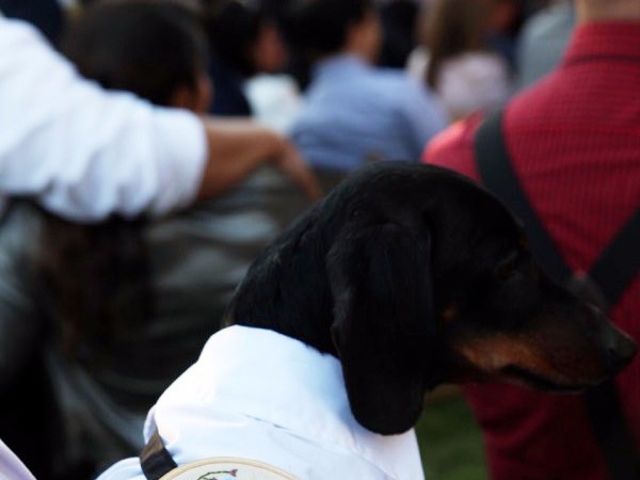 El matrimonio de Diego y Manuela en Melipilla, Melipilla 15