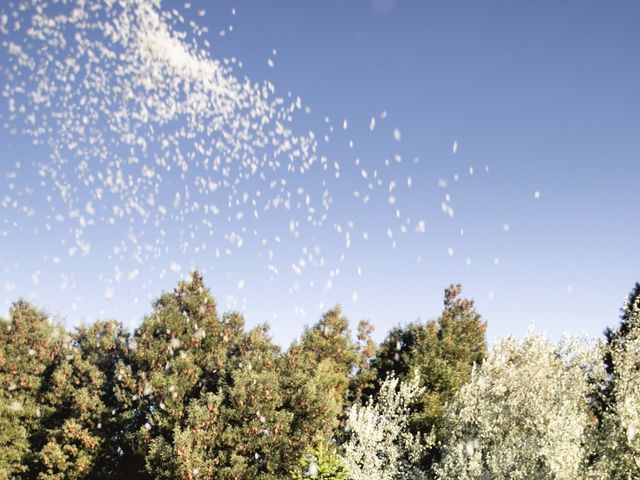 El matrimonio de Sergio  y Paolina  en Talca, Talca 4