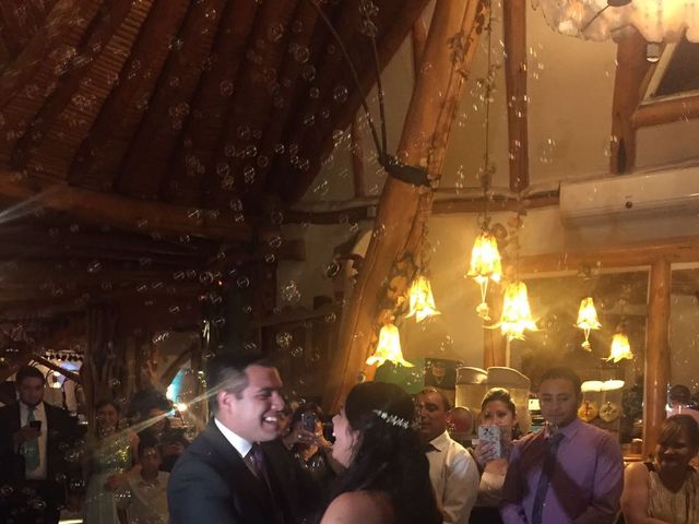 El matrimonio de Jaime y Victoria en San José de Maipo, Cordillera 3